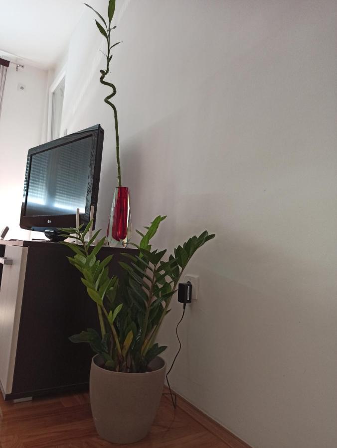Bk Apartment, Istocno Sarajevo, Lukavica Extérieur photo