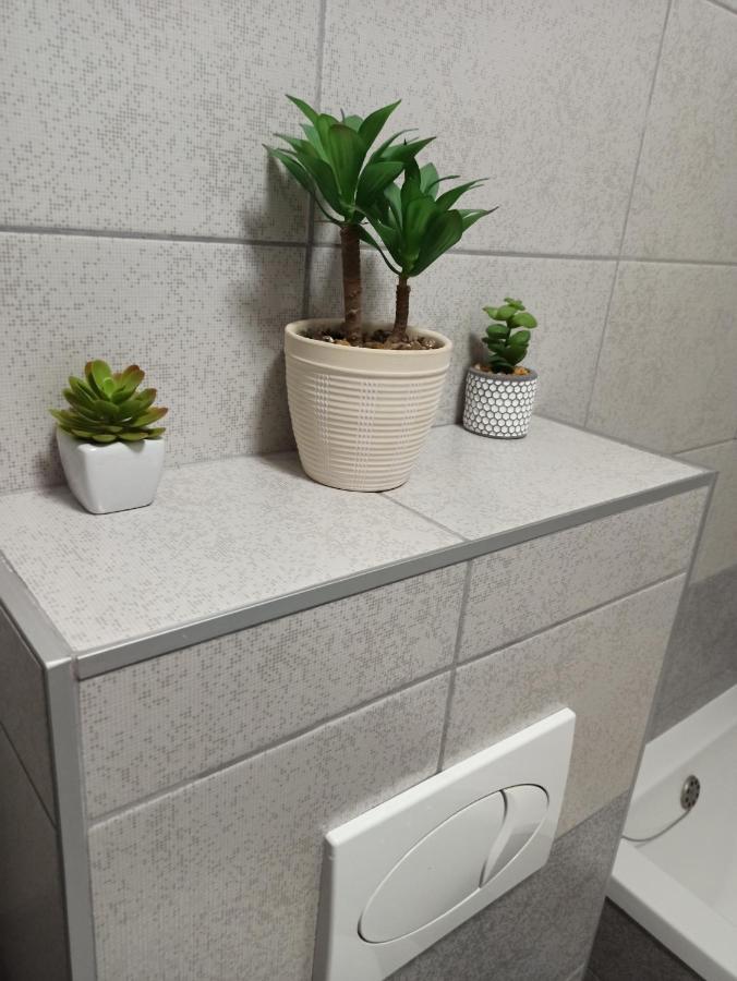 Bk Apartment, Istocno Sarajevo, Lukavica Chambre photo